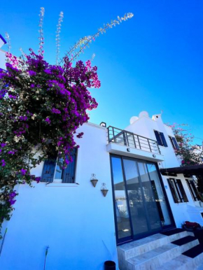 Bodrum Yalıkavak Villa